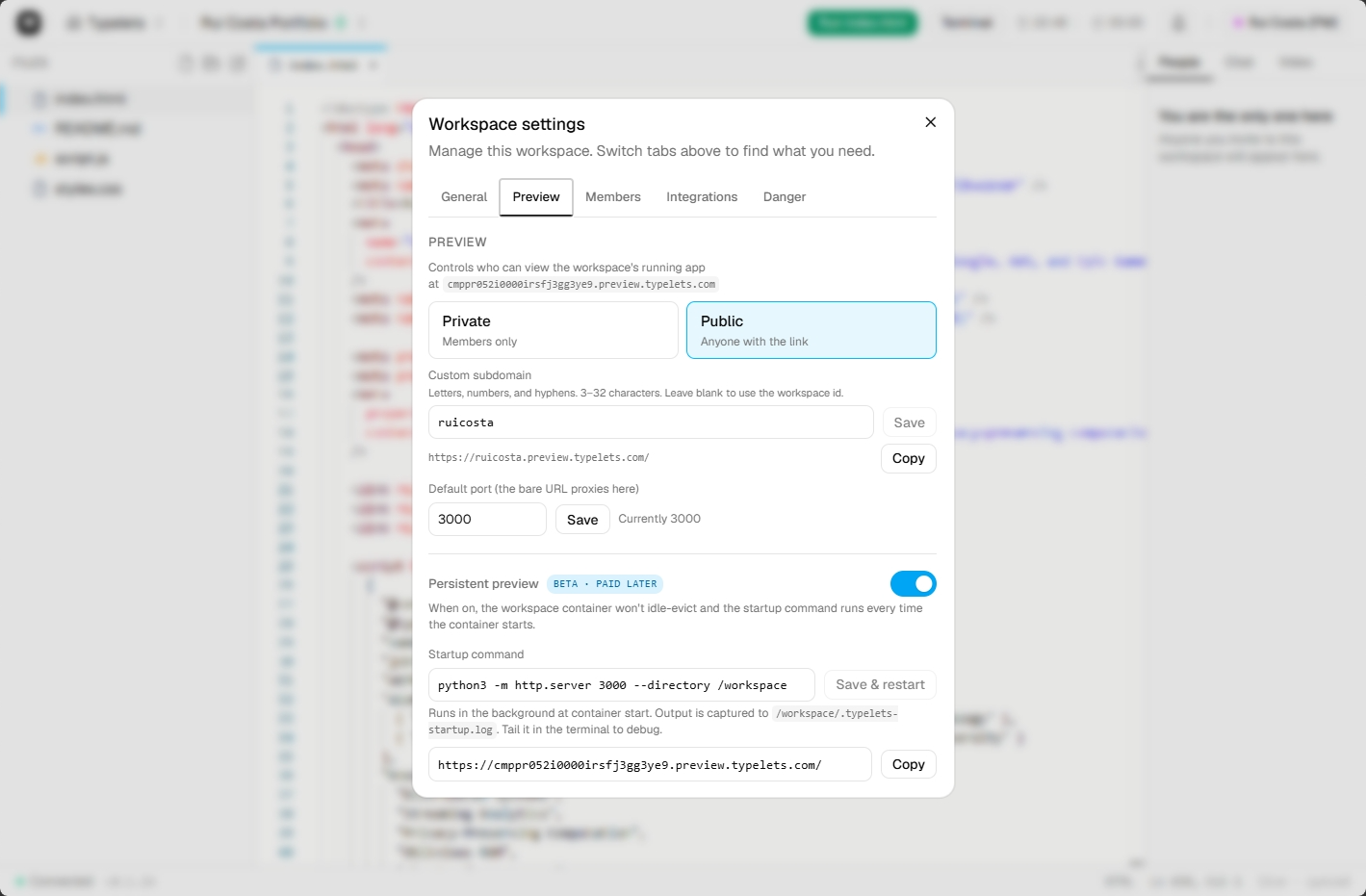 Workspace settings dialog open on the Preview tab. Custom subdomain set to ruicosta, default port 3000, Persistent preview toggle on, startup command running a static file server.